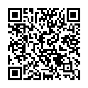 所以对于他父亲这一天多来没吃东西也压根没去过问二维码生成