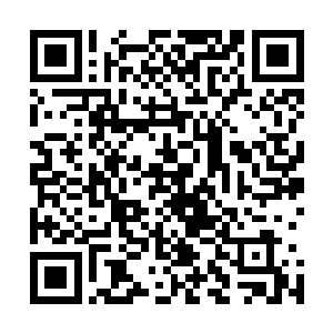 所以对于僵尸我一直还是停留在电视影视作品之中那个样子二维码生成