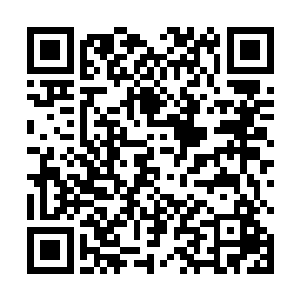 所以对于御天晴的特别行动小组还有相关警务部门来说二维码生成