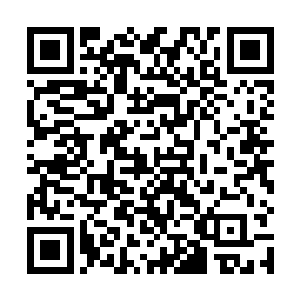 所以对于是否雇佣贵公司负责安保方面还是有一些疑问二维码生成
