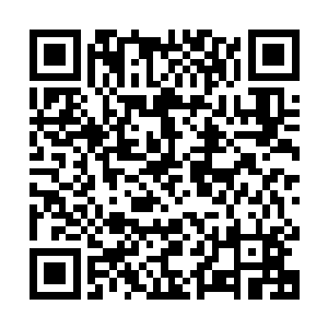 所以对于物流这一块我们暂时只跟华夏最具实力的空达物流合作二维码生成