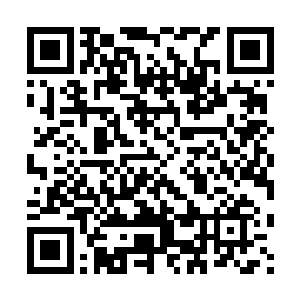 所以对于这一条规定格森王国中的那些大家族都不敢有什么话说二维码生成