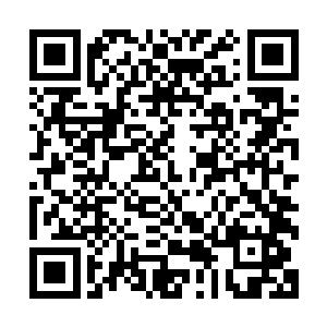 所以对什么姻亲关系就是保障之类的他脑子里不由多转了几圈二维码生成
