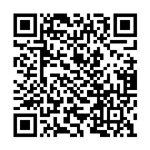 所以将将雄的灵魂力量从埋骨之地中提炼了出来二维码生成