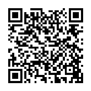 所以就利用凌天院里的规则把那两人经常打成猪头二维码生成