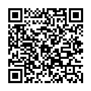 所以就命令他们说出自己所知道的大长老可能方位二维码生成
