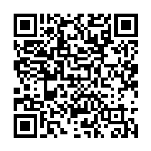 所以就算他们在叛臣势力里都是呼风唤雨的大人物二维码生成