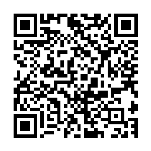 所以就算是快煮好的速冻水饺我也能轻而易举地勾起我的食欲二维码生成