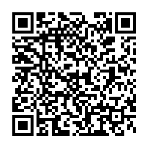 所以就算是高手的身体也无法自动的将蓝色小药丸的药效给化解掉二维码生成