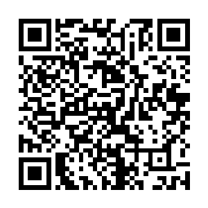 所以就算这熊孩子还有一个皮糙肉厚的召唤兽作为帮手二维码生成