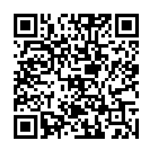 所以就算闹得激烈也不会惊扰到山谷深处的剧毒王二维码生成