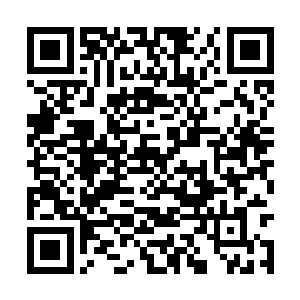 所以尼古拉斯当之无愧地成为了影帝候补第一顺位二维码生成