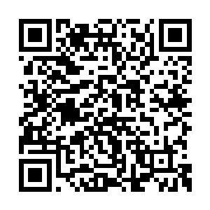 所以尽管年根岁尾公司下属的电话一个接着一个二维码生成