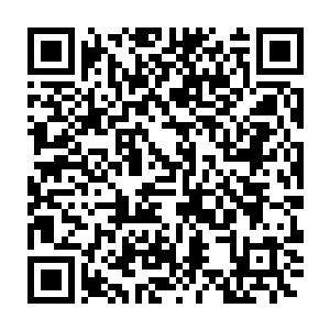 所以尽管除了谈薇之外的其他四只对音超战况牵肠挂肚心急火燎的二维码生成