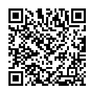 所以展开宣传之后居然能够收到如此热烈的反应二维码生成