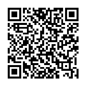 所以巫妖才会这么放心地把最关键的第四大厅交给他把守二维码生成