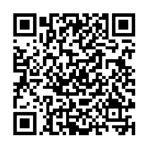 所以巴克也乐得天天从柜子溜下去财务总监的办公室二维码生成