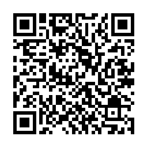 所以巴克也把自己的伤口绷带外用捡来的头巾绞紧一些二维码生成