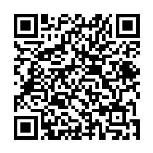 所以巴克开动这部跟家里阿尔法差不多的日产保姆车以后二维码生成