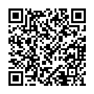 所以布鲁诺对赛提尔的到来表示了严重的不欢迎二维码生成