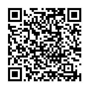 所以希望王定朝有一天不会因为回首这一叩而后悔二维码生成