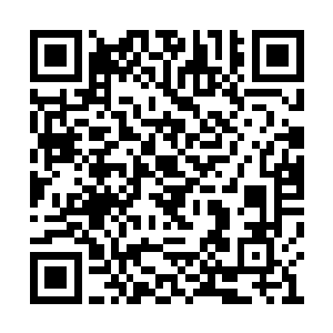 所以帝国第一批派下去的都是战力越等级的强者二维码生成