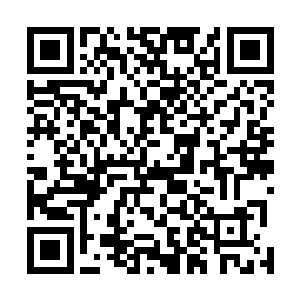 所以带的只是几套换洗衣服以及白老夫人用得上的药而已二维码生成