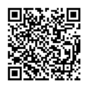 所以常鸿的所有记忆和传承都在萧霓裳的脑海当中二维码生成