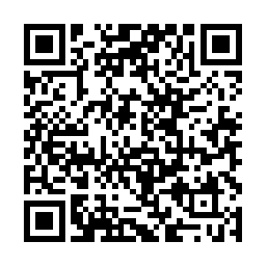 所以并未完全沉入水里就熟练的踩着水浮着的雪如楼二维码生成