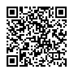 所以并没有受到这绝域之中灭世天火和创世神雷的排斥二维码生成