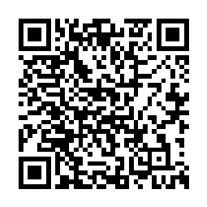 所以并没有得到多西罗亚究竟想要做什么的情报二维码生成