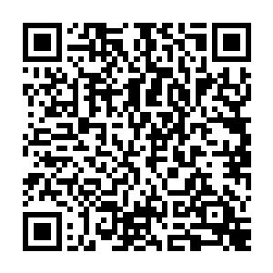 所以张铁家里原本的几个家庭教师最初对风苍梧的到来还有那么一点抵触和想二维码生成