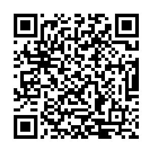 所以当一个政fǔ班子中纪委书记和某一派结成联盟时二维码生成