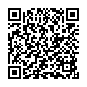 所以当丁长生知道自己真的要去龙港街道办去当副主任时二维码生成