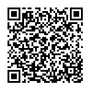 所以当七色玉佛吸纳了这股气劲之后居然先从他的脚部发出了光芒二维码生成