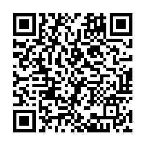 所以当丈夫说了一句听组织安排之后白圃也就不再多问二维码生成