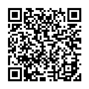 所以当他看到苏落揭开药鼎露出饱满莹白的丹药时二维码生成