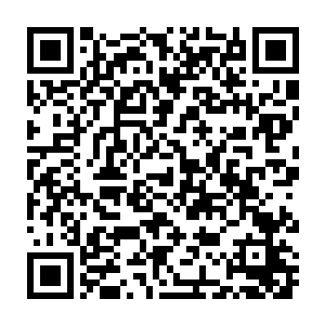 所以当初白一峰说把白硫决和念念凑成一对时她是双手双脚赞成的二维码生成