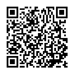 所以当叶芷蔚跳起来去抓身后墙上挂着的镇宅宝剑时二维码生成