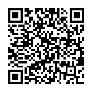 所以当巴克发现左手边黑暗的方向有一块凸起的礁石二维码生成