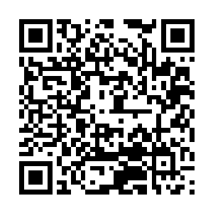 所以当时同样受到重创的妖族也无力将他们彻底毁灭二维码生成