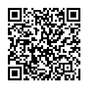 所以当梁坤带着六名执法队弟子出现在高家车行之后二维码生成