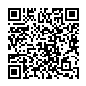 所以当楚旬以为舔食者会再度向他发起正面冲锋的时候二维码生成