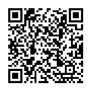 所以当章玉珂看到医生在叶蕴意的检查章上盖下章二维码生成