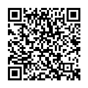所以当身后的四只土狼迫不及待杀了过来的时候二维码生成