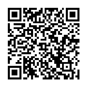 所以当身穿天下独此一家玉白蟒袍的世子殿下马跃冰河二维码生成
