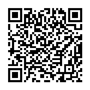 所以当这些隐形名人一个接一个的在各自的自媒体阵地表态二维码生成