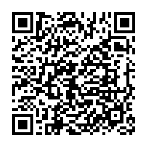 所以往往都会寻找一些本来就是得了绝症或者是判了死刑的人来做二维码生成