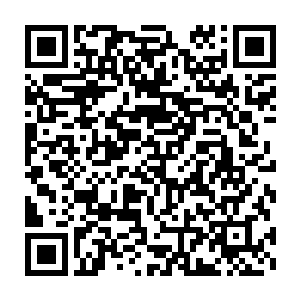 所以很多地方原本有当地村民砍柴走出来的山路都已经被荒草给覆盖了二维码生成