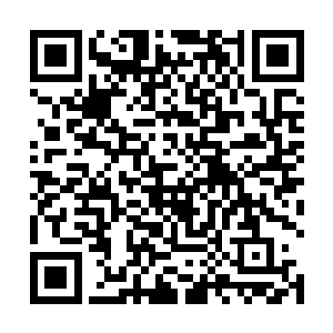 所以很多的仙家都把这消失的始作俑者归咎给了戾血莲二维码生成